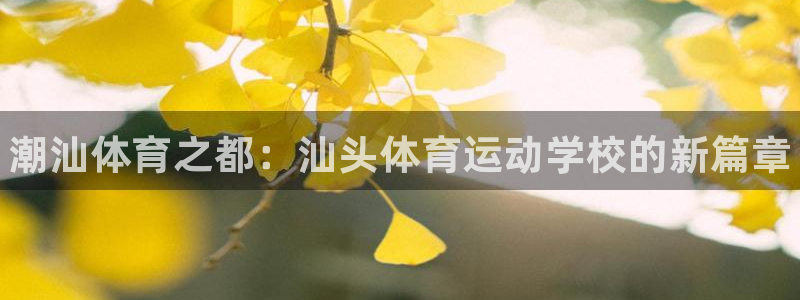 yy易游官方正版app娱乐40996:潮汕体育之都:汕头体育