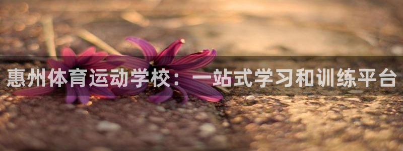 yy易游官网下载平台是正规平台吗知乎:惠州体育运动学校:一站